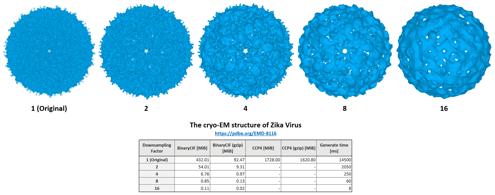 Zika Virus